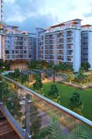 Welcome to Godrej Woods Sector 43 Noida